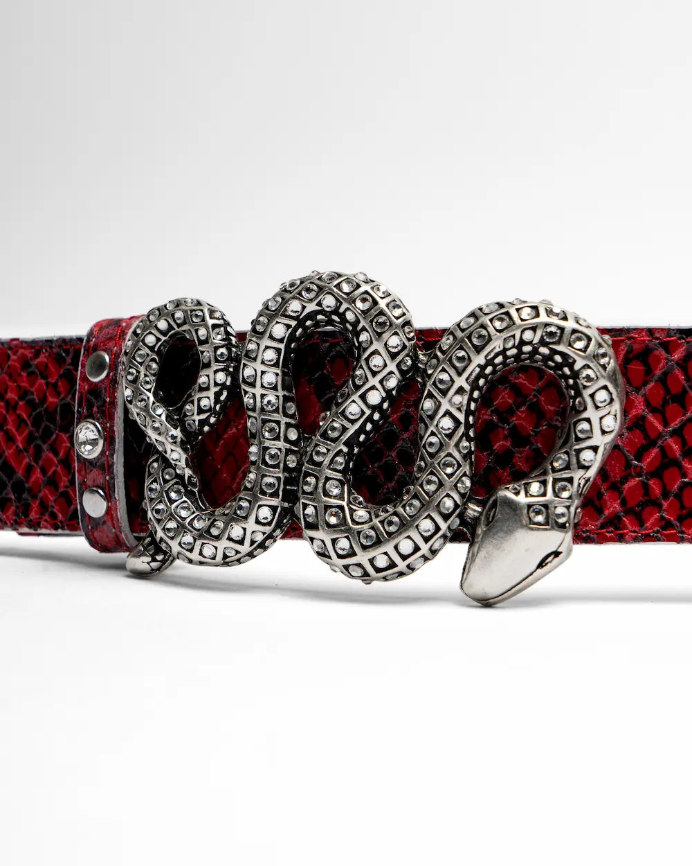 Cintura Red Python - Snake Skin